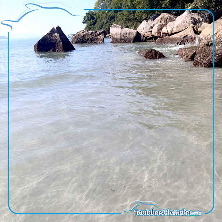 apartamento na praia das toninhas 6