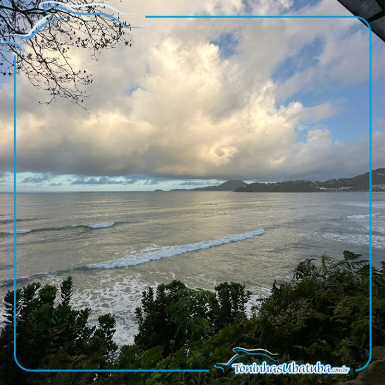 apartamento na praia das toninhas 18