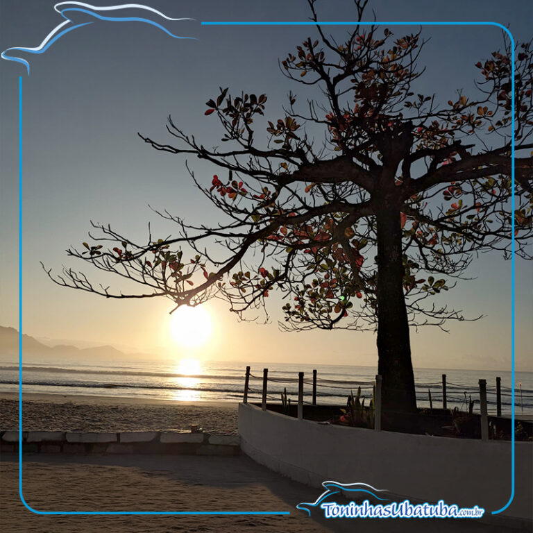 apartamento na praia das toninhas 22
