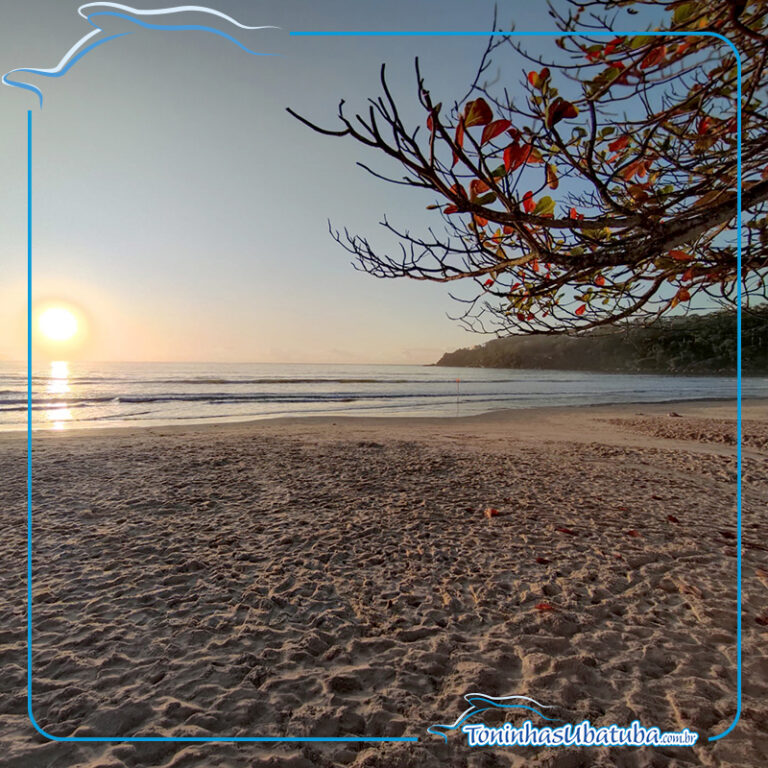 apartamento na praia das toninhas 23